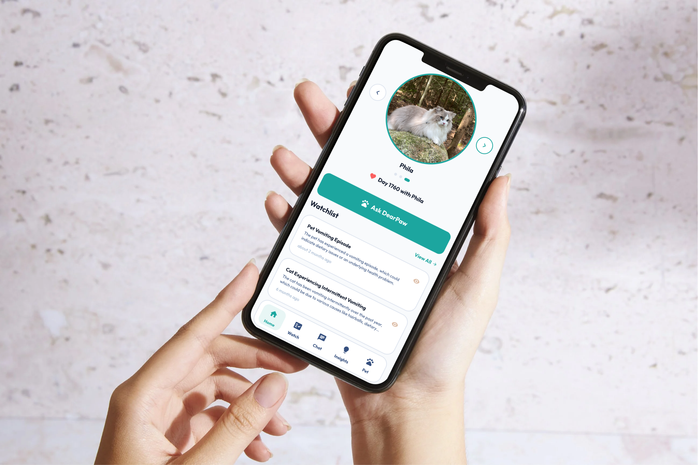 DearPaw – From Concept to Trusted Pet Care AI cover image